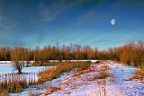 Richmond Lagoons At Sunrise_14474